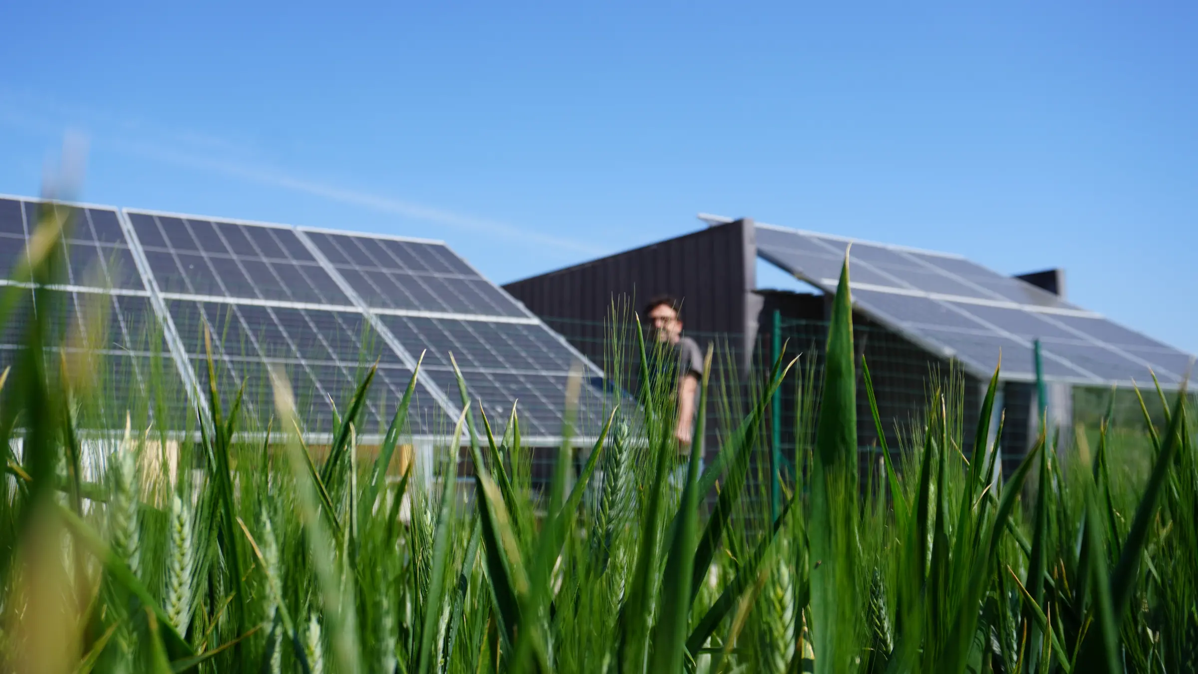 Rosato impianti green and eco solution