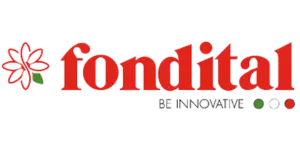 fondital logo image